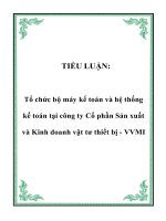 Tổ chức bộ máy kế toán và hệ thống kế toán tại công ty Cổ phần Sản xuất và Kinh doanh vật tư thiết bị - VVMI