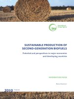 Tài liệu SuStainable Production of Second-Generation biofuelS pot
