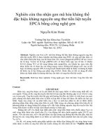 Nghiên cứu thu nhận gen mã hóa kháng thể đặc hiệu kháng nguyên ung thư tiền liệt tuyến EPCA bằng công nghệ gen