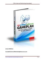 Tài liệu The Internet Marketing Gameplan pptx