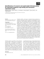 Tài liệu Báo cáo khoa học: Identiﬁcation of b-amyrin and sophoradiol 24-hydroxylase by expressed sequence tag mining and functional expression assay docx