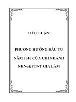 Tài liệu TIỂU LUẬN: PHƯƠNG HƯỚNG ĐẦU TƯ NĂM 2010 CỦA CHI NHÁNH NHNo&PTNT GIA LÂM pptx