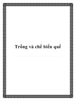 Tài liệu Trồng và chế biến quế potx