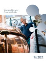 Tài liệu Danisco Brewing Enzyme Guide pot