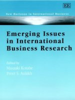Tài liệu Emerging Issues in International Business Research docx