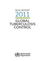 Tài liệu WHO REPORT 2011 GLOBAL TUBERCULOSIS CONTROL pdf