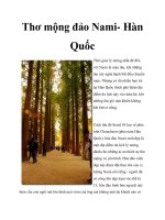 Tài liệu Thơ mộng đảo Nami- Hàn Quốc pdf