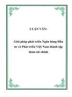 Giải pháp phát triển Ngân hàng Đầu tư và Phát triển Việt Nam thành tập đoàn tài chính