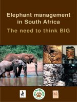 Tài liệu Elephant management in South Africa The need to think BIG ppt