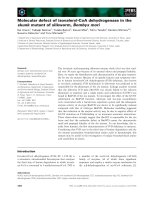 Tài liệu Báo cáo khoa học: Molecular defect of isovaleryl-CoA dehydrogenase in the skunk mutant of silkworm, Bombyx mori ppt