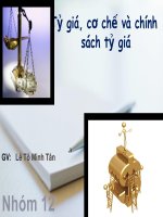 tỷ giá, cơ chế và chính sách tỷ giá