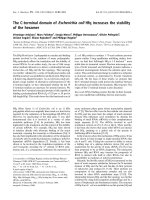 Tài liệu Báo cáo khóa học: The C-terminal domain of Escherichia coli Hfq increases the stability of the hexamer ppt