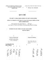 TỔ CHỨC VÀ HOẠT ĐỘNG PHÒNG TỔ CHỨC HÀNH CHÍNHCÔNG TY CP DỊCH VỤ KỸ THUẬT VÀ HẠ TẦNG MẠNG THÔNG TIN DI ĐỘNG