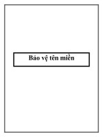 Tài liệu Bảo vệ tên miền ppt