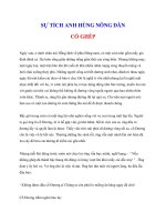 Tài liệu SỰ TÍCH ANH HÙNG NÔNG DÂN CỐ GHÉP pdf