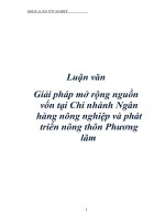Tài liệu Luận văn Giải pháp mở rộng nguồn vốn tại Chi nhánh Ngân hàng nông nghiệp và phát triển nông thôn Phương lâm pdf