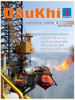 Tài liệu Tạp chí của tập đoàn dầu khí quốc gia Việt Nam - Petrovietnam - Số 8 - 2011 docx