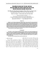 Tài liệu ẢNH HƯỞNG CỦA BIỆN PHÁP TỈA CÀNH, TRIỆT HOA ĐẾN SINH TRƯỞNG PHÁT TRIỂN V NĂNG SUẤT CỦA CÂY SƠN TRÊN ĐẤT ĐỒI HUYỆN TAM NÔNG, TỈNH PHÚ THỌ potx