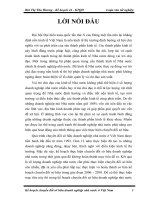 giải pháp thực hiện kế hoạch chuyển đổi sở hữu doanh nghiệp nhà nước ở việt nam giai đoạn 2006 – 2010