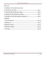 Tài liệu Bài tập lớn Ăng Ten Truyền Sóng ppt