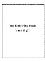 Tài liệu Tạo hình Động mạch Vành là gì potx