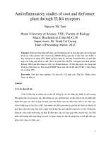 Nghiên cứu khả năng chống viêm của cây nhọ nồi và ngải cứu thông qua thụ thể TLR4