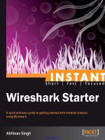 Tài liệu Instant Wireshark Starter docx