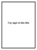 Tài liệu Cay ngọt cá kho dứa pdf