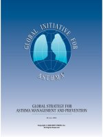 Tài liệu GLOBAL STRATEGY FOR ASTHMA MANAGEMENT AND PREVENTION pdf