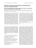 Tài liệu Báo cáo khoa học: Molecular and functional characterization of adenylate kinase 2 gene from Leishmania donovani pdf