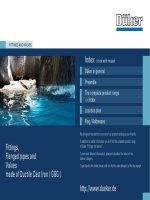 Tài liệu Fittings, Flanged pipes and Valves made of Ductile Cast Iron docx