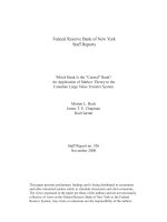Tài liệu Which Bank Is the “Central” Bank? An Application of Markov Theory to the Canadian Large Value Transfer System doc