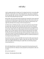 Tài liệu Báo cáo Địa Vật Lý   pdf