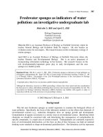 Tài liệu Freshwater sponges as indicators of water pollution: an investigative undergraduate lab pdf