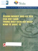 doanh nghiệp nhỏ và vừa của việt nam trong điều kiện hội nhập kinh tế quốc tế