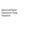 Tài liệu Infrared and Raman Characteristic Group Frequencies ppt