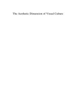 Tài liệu The Aesthetic Dimension of Visual Culture pdf