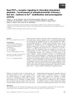 Tài liệu Báo cáo khoa học: Dual P2Y12 receptor signaling in thrombin-stimulated platelets – involvement of phosphoinositide 3-kinase b but not c isoform in Ca2+ mobilization and procoagulant activity pdf