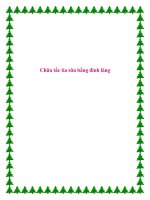 Tài liệu Chữa tắc tia sữa bằng đinh lăng. pdf