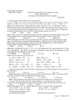 Tài liệu ĐỀ THI THỬ ĐẠI HỌC LÂN 2 NĂM 2012-2013 MÔN THI HOÁ HỌC doc