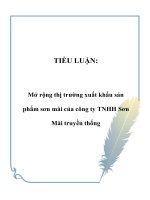 Tài liệu TIỂU LUẬN: Mở rộng thị trường xuất khẩu sản phẩm sơn mài của công ty TNHH Sơn Mài truyền thống pdf