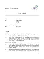 Tài liệu Financial Services Authority: FINAL NOTICE doc