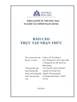 báo cáo thực tập nhận thức công ty cp tôn đông á