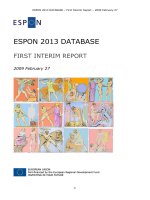 Tài liệu ESPON 2013 DATABASE FIRST INTERIM REPORT pptx