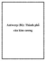 Tài liệu Antwerp (Bỉ): Thành phố của kim cương pdf