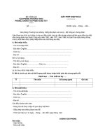 Tài liệu MẪU GIẤY PHÉP NHẬP KHẨU pot