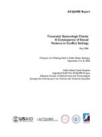 Tài liệu Traumatic Gynecologic Fistula: A Consequence of Sexual Violence in Conflict Settings doc