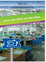 Tài liệu Cam kết WTO về dệt may docx