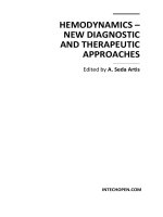 Tài liệu Hemodynamics – New Diagnostic and Therapeutic Approaches Edited by A. Seda Artis pdf
