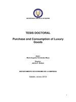 Tài liệu TESIS DOCTORAL Purchase and Consumption of Luxury Goods ppt